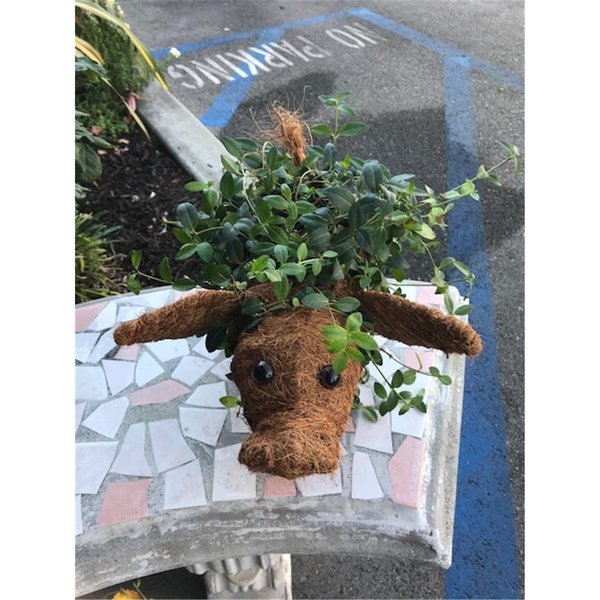 Ultimate Innovations Coco Animal Planter - Pig UL296853